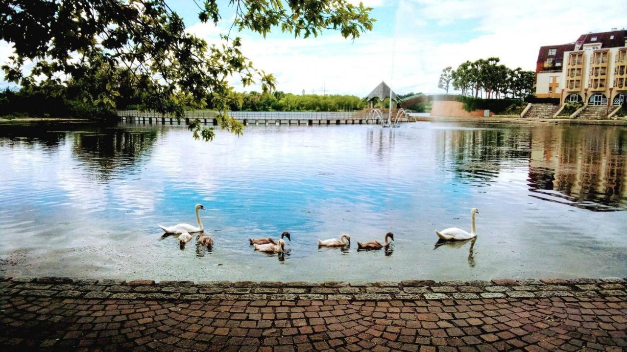 Créteil Vue Exceptionnelle Sur Le Lac מראה חיצוני תמונה