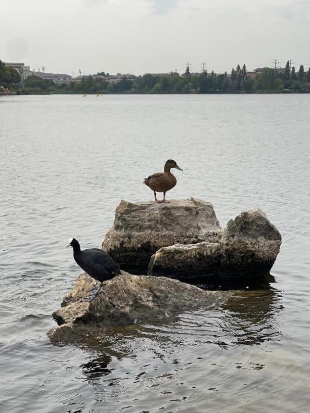 Créteil Vue Exceptionnelle Sur Le Lac מראה חיצוני תמונה